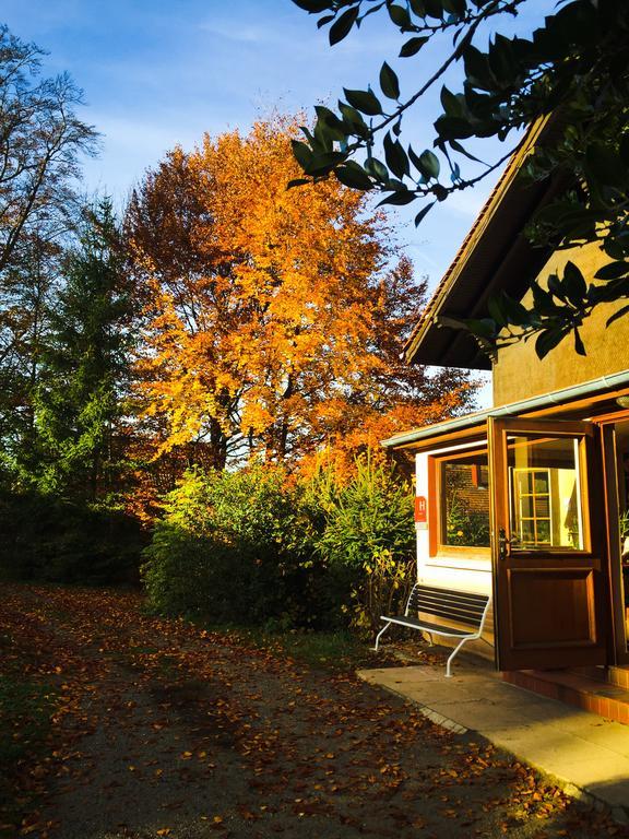 Le Chalet Luttenbach-près-Munster Exterior photo