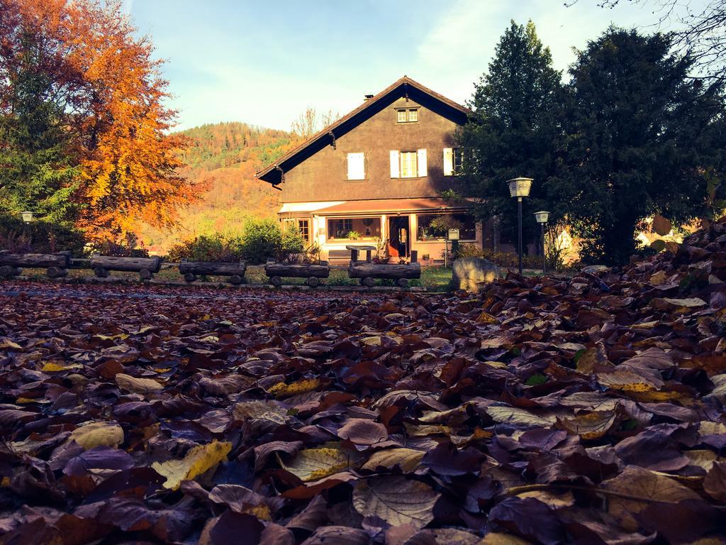 Le Chalet Luttenbach-près-Munster Exterior photo