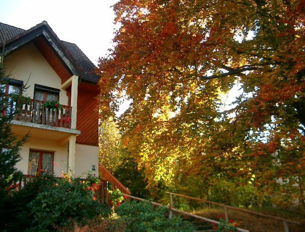 Le Chalet Luttenbach-près-Munster Exterior photo