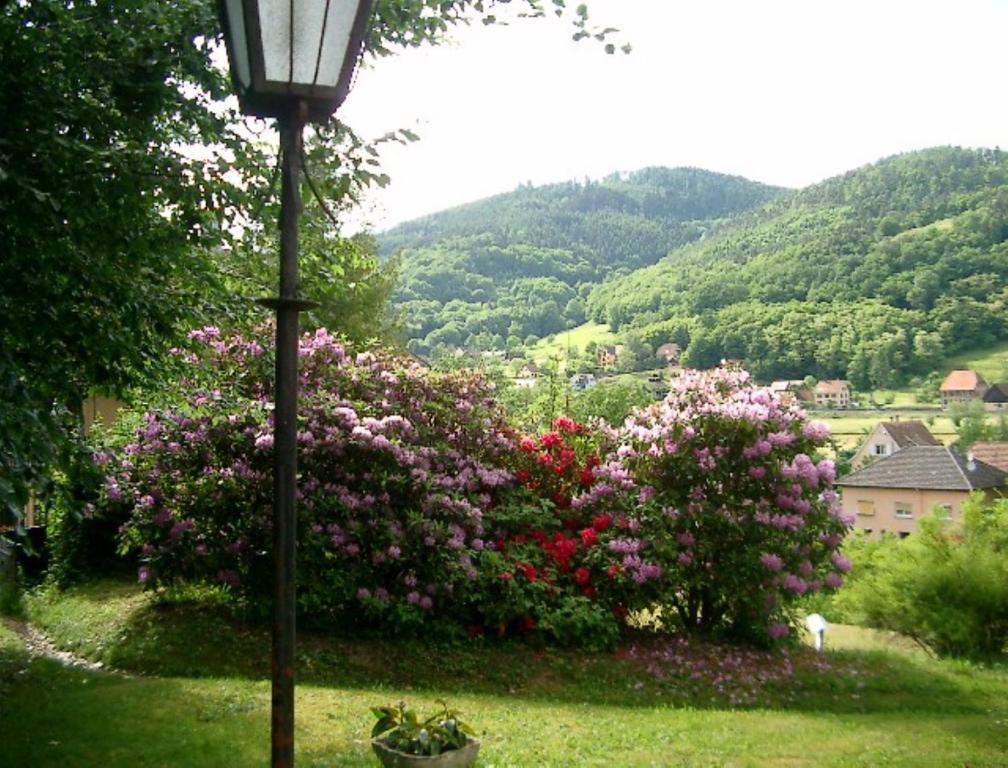 Le Chalet Luttenbach-près-Munster Exterior photo